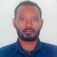 Elshadai Woldetsadik Email