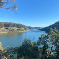 Ella Zhao Email & Phone Number