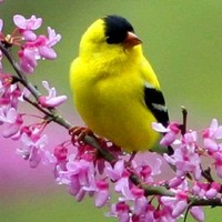 Delian Wong's profile photo