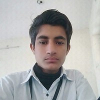 Intermediate Employee Sajjad Amali's profile photo