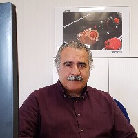 Syntax connectors Employee Mauro Abbattista's profile photo