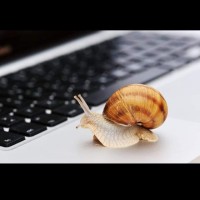 Areej Ahmad Email