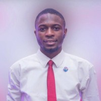 Sourcing Sprints Employee Princewill Onyekah's profile photo