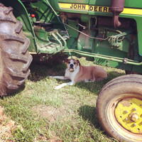 Harvest Farms Employee Kim Daigle's profile photo