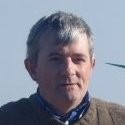 Roy Meadows Email