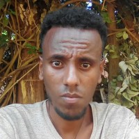 Yared Tesfaye Email