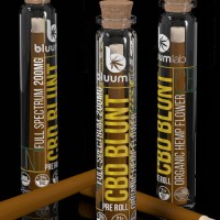 Elad Barda Email & Phone Number