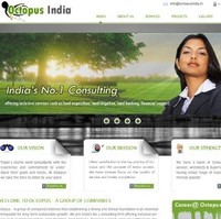 The Octopus Group Employee Shailendra Chaturvedi's profile photo