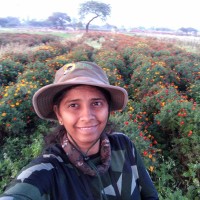 Raintree Foundation Employee Kiran Thumma's profile photo