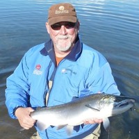 Self-owned Employee Alan Lander's profile photo