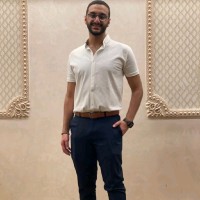 Si-Vision Employee John Adel's profile photo