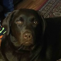 ATK Employee Jeffrey Mortensen's profile photo