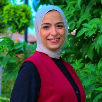 Smart Engineering Consultancy Employee Manar Ehab's profile photo