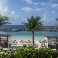 Arett Sales Employee Paula Anel Colon's profile photo