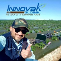 Innovak Global Employee Ulises Calix's profile photo