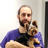 Paragon Veterinary Referrals Employee Bruno Scalia's profile photo