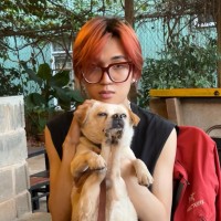 Hoàng Trần Email