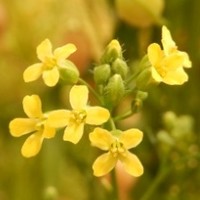 Elaniti Employee Sarah Usher's profile photo