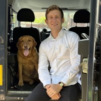 Goose & Co Property Employee Jake Shaw-Tan's profile photo