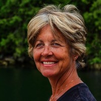 Paradise Bay Yacht Charters, LLC Employee Max Painter's profile photo