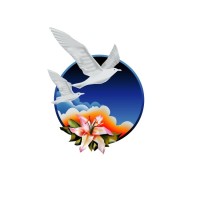 New Image International Employee None's profile photo