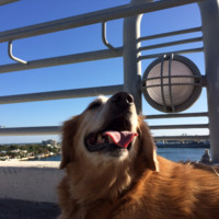 Christopher Glass & Aluminum, Inc. Employee Dan Simon's profile photo