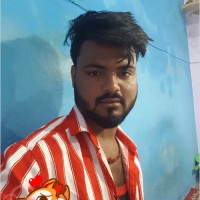 Moll Employee Mohit Kaushal's profile photo