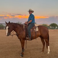 Deloitte Employee Tony Bacon's profile photo