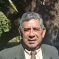 Proconm Employee Efrain Bozo Godoy's profile photo