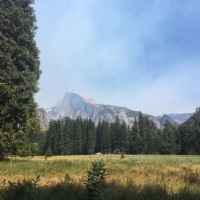 Susan Flores Email & Phone Number