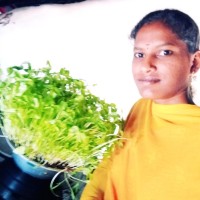 Shantee Technologies Employee Vanmathi Kandasamy's profile photo
