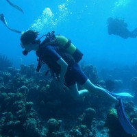 World Trade Center Institute Employee Patrick Nash-Mercado's profile photo