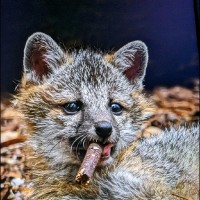 Venture Express Inc Employee Scott Hall's profile photo