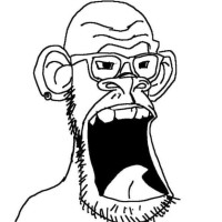 Daniel Pinto Email & Phone Number