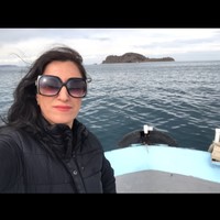 Maryam Ensandoust's profile photo