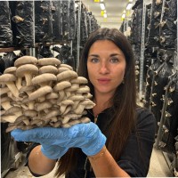 Kroptek Employee Gwenaelle Detour's profile photo