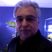 Adsol Employee Daniel Moschini's profile photo
