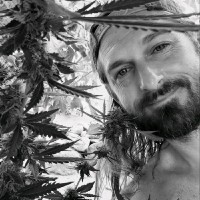 Fat Nugs Magazine Employee Daniel Crawford's profile photo