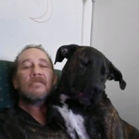 Steven Mandella
