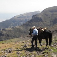 Maranatha Employee Fred Howard's profile photo