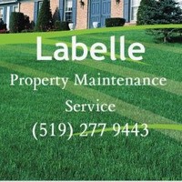 Andy Labelle Email & Phone Number