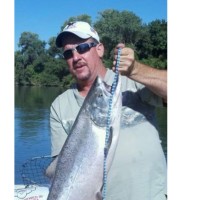 Mike Bouchard Email & Phone Number