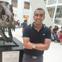 Rex Patel Email & Phone Number