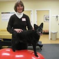 Aiken Pet Fitness and Rehabilitation Employee Sybil Davis's profile photo