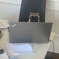 M. H. Email