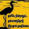 Selva Ananthi's profile photo