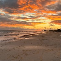 Mental Health America of Indiana Employee Justin Beattey's profile photo