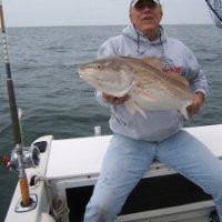Pensacola Information.com Realty LLC Employee Dan Berube's profile photo