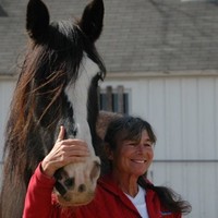 Spirit of Leadership LLC "Experiential learning with Horses and Innovation Consu Employee Jackie Stevenson's profile photo