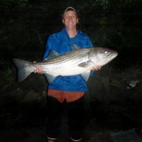 David Andrews Email & Phone Number